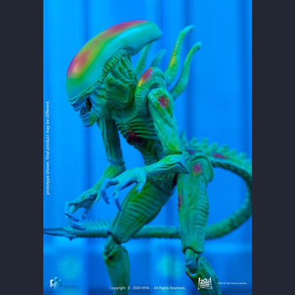 Alien vs. Predator Alien Warrior (Thermal Vision) PX Previews 1:18 Scale Exclusive Figure