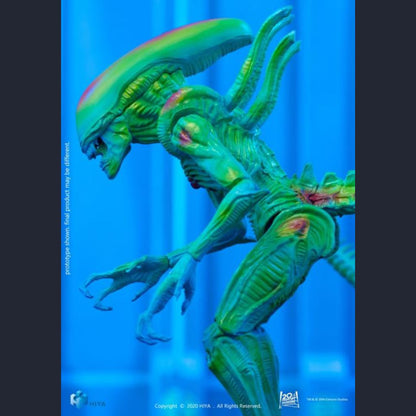 Alien vs. Predator Alien Warrior (Thermal Vision) PX Previews 1:18 Scale Exclusive Figure